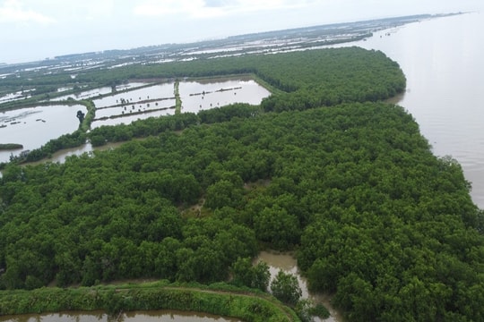 Thái Bình: Phát triển kinh tế - xã hội bền vững, đi đôi với bảo vệ môi trường