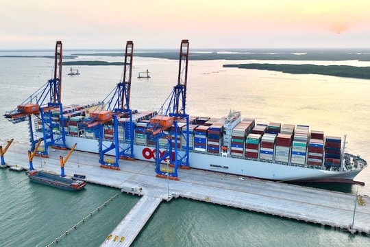 Chính sách ưu đãi thu hút doanh nghiệp phát triển hiện đại cụm cảng Cái Mép – Thị Vải