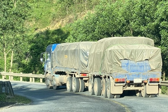 Xe biển Lào “nhiều không” vô tư lưu thông trên đường Việt