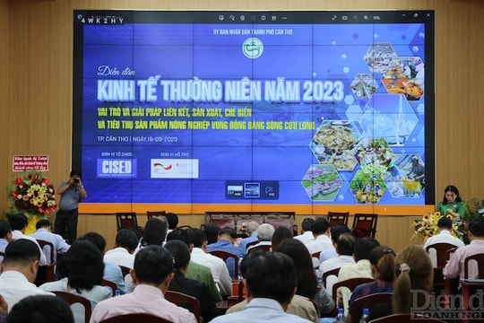 Điểm yếu chế biến "kìm chân" chuỗi liên kết nông sản vùng ĐBSCL