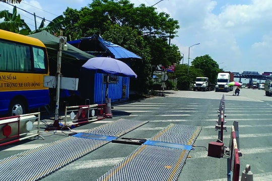 Vụ đúng tải trọng, sai tải trục tại Hải Phòng: Doanh nghiệp khởi kiện Thanh tra