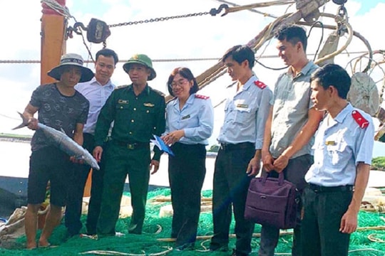 Nam Định: Kiên quyết xử phạt nhiều tàu cá vi phạm khai thác IUU