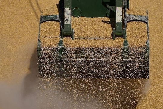 Viện trợ Ukraine đối mặt "cơn gió ngược" ở phương Tây