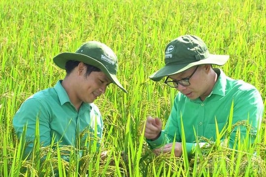 Tiến Nông cùng nông dân chinh phục phát triển “thời cơ vàng” cho cây lúa