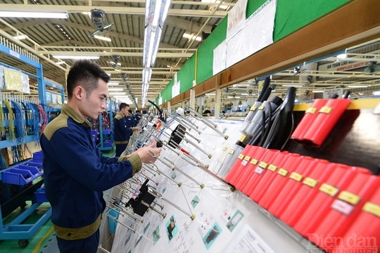 “Ma trận” điều kiện kinh doanh vẫn đang "cản đường" doanh nghiệp