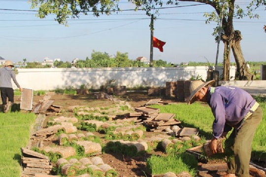 Bí quyết khởi nghiệp thành công từ mô hình liên kết sản xuất nông nghiệp