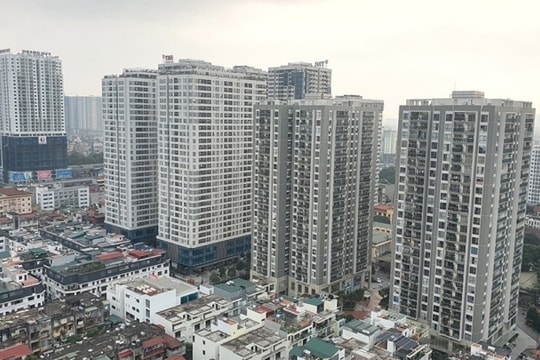 Thị trường đất nền ghi nhận tín hiệu tích cực