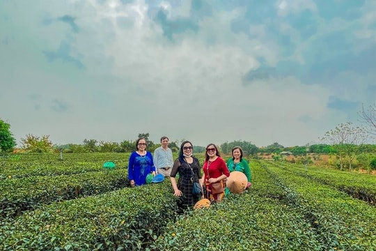 Quảng Ninh: Sức hút từ du lịch nông thôn