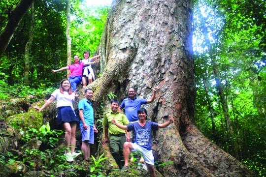 Phát triển du lịch bền vững