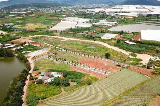 Bài học đầu tư bất động sản trên ….mạng