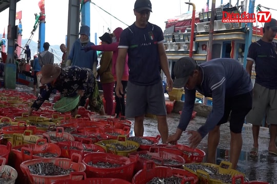 Việt Nam quyết tâm gỡ "thẻ vàng" IUU