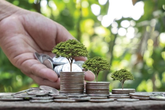 Sự giao thoa giữa kinh tế và môi trường - Bài 3: Bàn về tài chính khí hậu