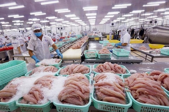 Xuất khẩu hồi phục, cổ phiếu ngành thủy sản có được hưởng lợi?
