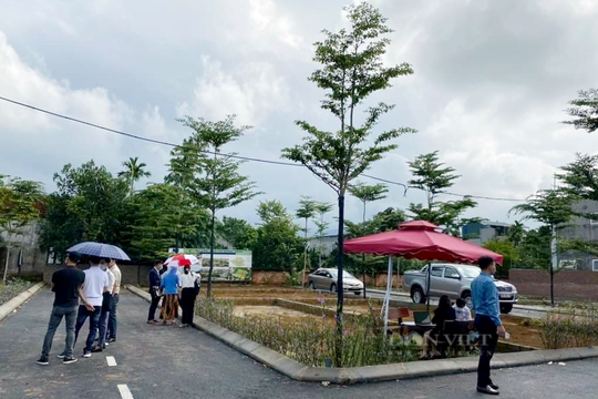 Quản lý hoạt động môi giới bất động sản