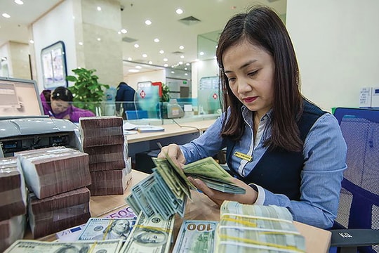 Có nên nới cho vay ngoại tệ?