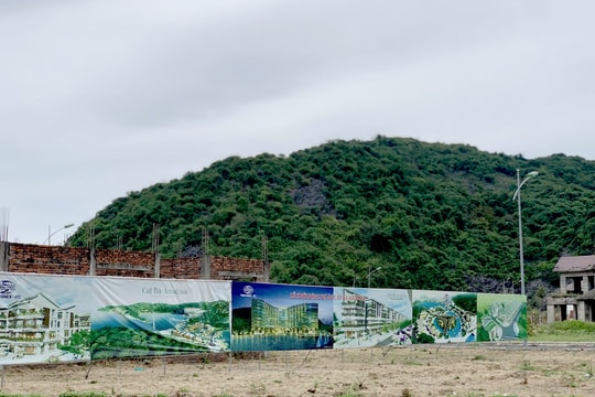 Vì sao Vinaconex rút khỏi siêu dự án Cát Bà Amatina?