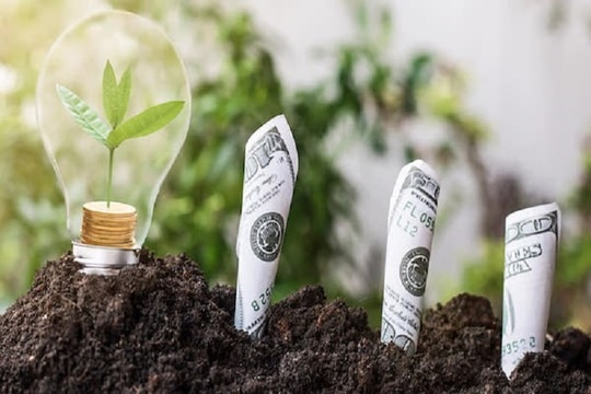 Sự giao thoa giữa kinh tế và môi trường - Bài cuối: Chính sách cho Việt Nam