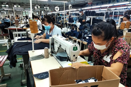 Xuất khẩu phục hồi, ngành dệt may hưởng lợi và phân hóa