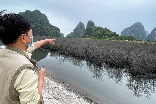 Quảng Ninh: Nhiều dự án sai phạm tại Vân Đồn