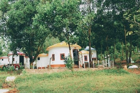 “Xẻ thịt” đất rừng, kinh doanh “trái phép”: Bài 2 – Vì sao khó xử lý vi phạm?