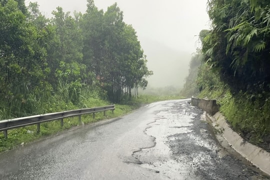 Lương tri dưới tấm thảm nhựa đường