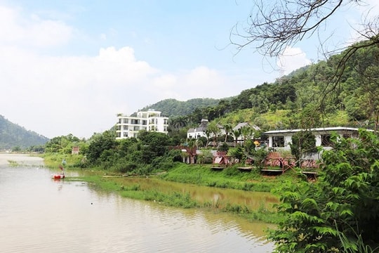 “Xẻ thịt” đất rừng, kinh doanh “trái phép”: Bài cuối – Cần xử lý tận gốc