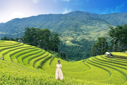 Trải nghiệm thu vàng trên Mù Cang Chải
