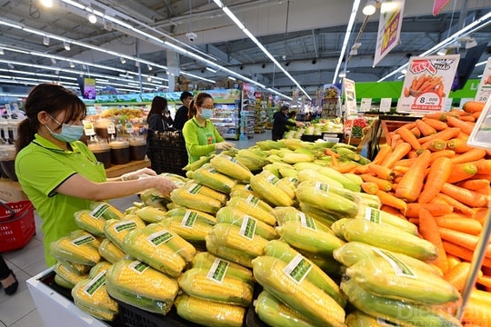 Nên mở rộng đối tượng và kéo dài thời gian thực hiện chính sách giảm thuế VAT