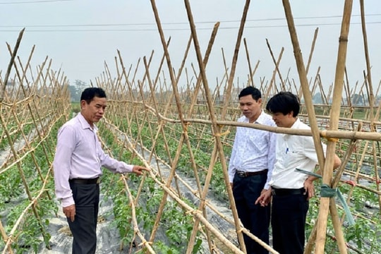 Phát triển nông nghiệp: Bài 3 - Những việc phải làm