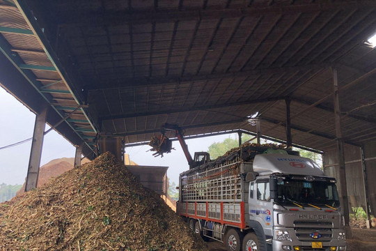 Chuyển đổi số trong ngành logistics ở Tây Nguyên
