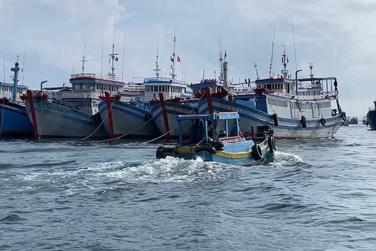 Gỡ “thẻ vàng” IUU: EC đánh giá cao những nỗ lực của Việt Nam