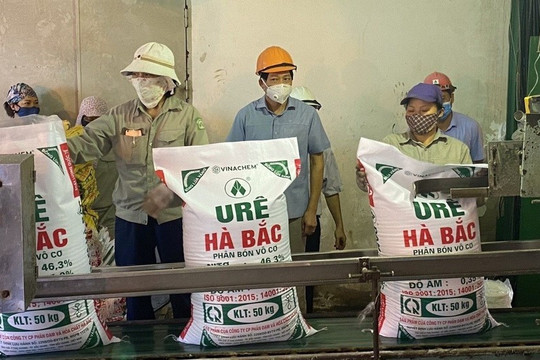 DHB lỗ nặng quý thứ 3 liên tiếp, kỳ vọng giá phân bón tăng vào cuối năm