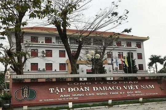 Giá lợn hơi giảm sâu, Dabaco mất 94% lợi nhuận