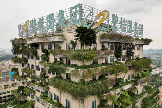 Country Garden sắp "đại phẫu" khi vỡ nợ trái phiếu quốc tế