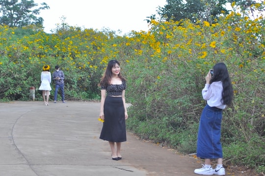 Trải nghiệm mùa vàng Tây Nguyên