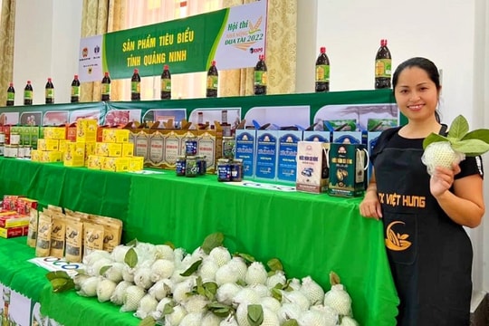 Quảng Ninh: Nỗ lực đưa sản phẩm OCOP từ “làng” lên “phố”