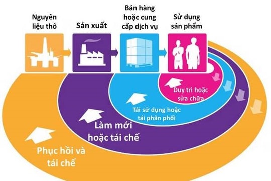 Khai thác hiệu quả dữ liệu tuần hoàn trong nền kinh tế xanh