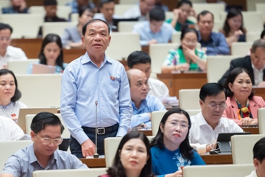 Đề nghị Quốc hội, Chính phủ sớm thực hiện tinh thần Nghị quyết 41-NQ/TW