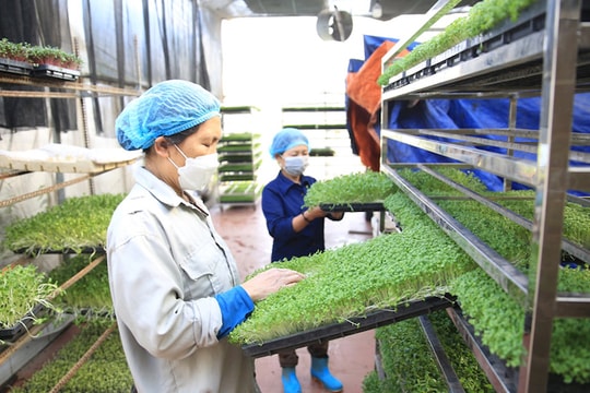 Nâng cao năng suất lao động: Bài 2 - Chưa đột phá như kỳ vọng