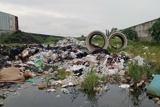 TP.HCM: 3 sở ngành sẽ được kiểm tra đột xuất những cơ sở vi phạm môi trường