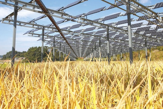 Ngành nông nghiệp và bài toán chia sẻ năng lượng, giảm phát thải carbon