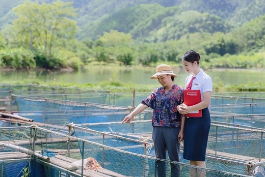 5 chương trình tín dụng nổi bật của  Agribank dành cho doanh nghiệp