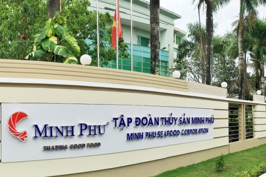 "Vua tôm" Minh Phú thua lỗ do đâu?