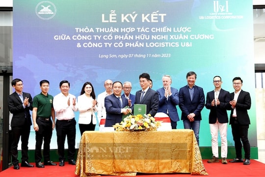 Doanh nghiệp “bắt tay” thúc đẩy logistics cho nông sản