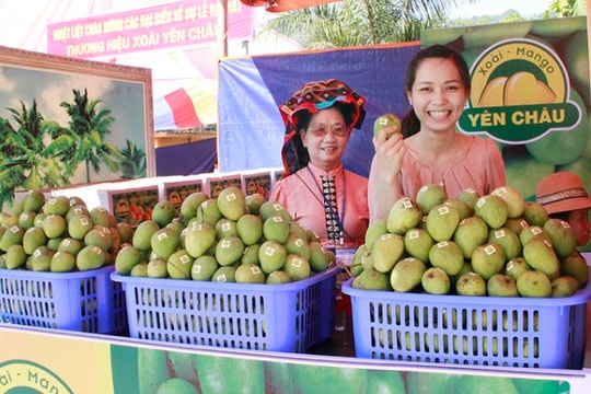 Yên Châu (Sơn La): Xây dựng thương hiệu nông sản