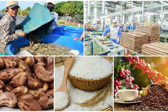 Doanh nghiệp xuất khẩu nông sản Việt và thách thức điều chỉnh tiêu chuẩn của EU