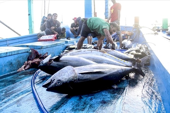 Chưa thể gỡ "thẻ vàng", người đứng đầu địa phương phải nỗ lực cao nhất