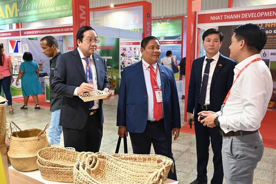Long An thúc đẩy quan hệ hợp tác đầu tư, thương mại với Cuba