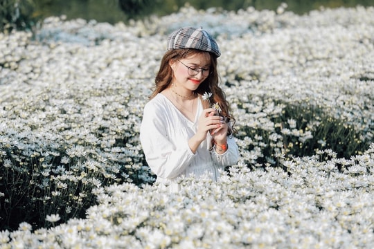 THƯ GIÃN CUỐI TUẦN: Cúc họa mi báo đông về trên phố