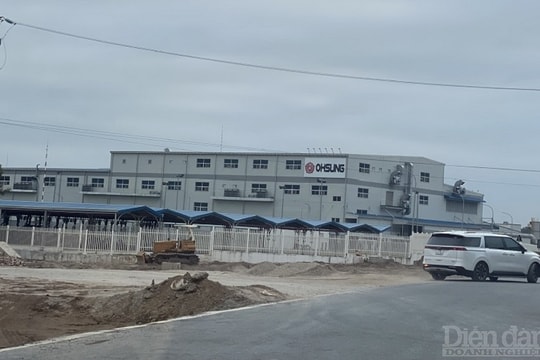 Sắp đón 3 nhà đầu tư Hàn Quốc đầu tư vào Thái Bình